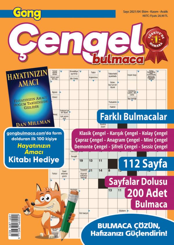 Gong Çengel Bulmaca 8