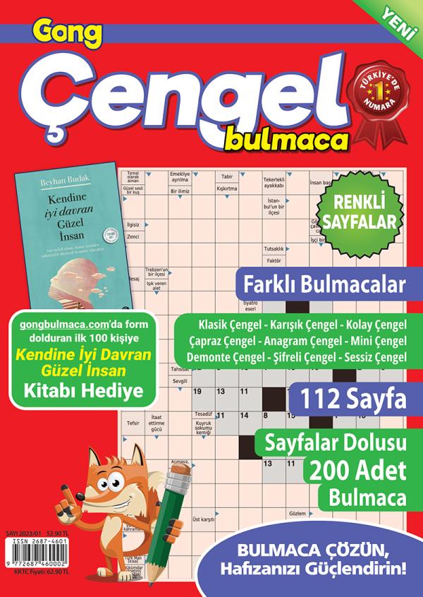 Gong Çengel Bulmaca 13
