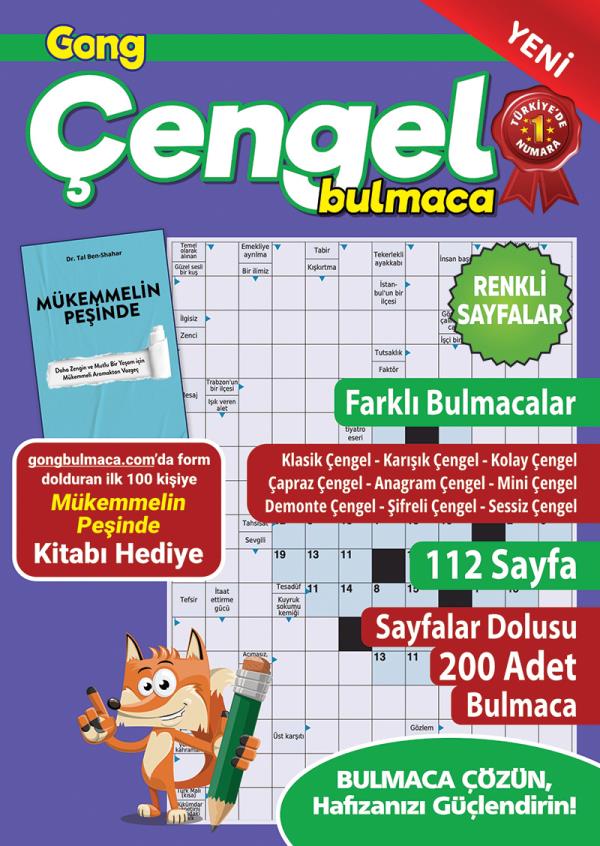 Gong Çengel Bulmaca 14	