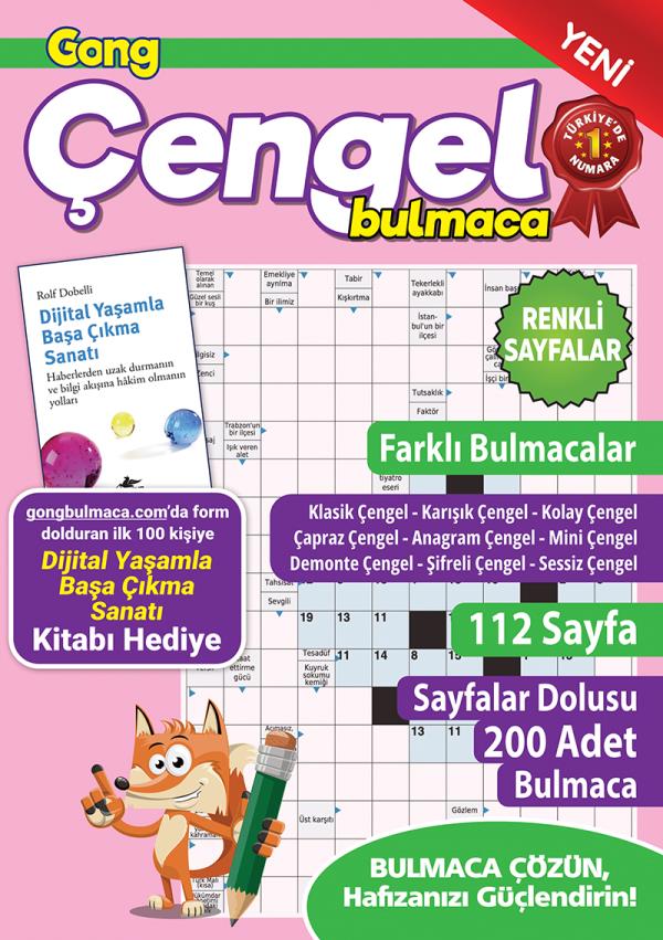 Gong Çengel Bulmaca 18	