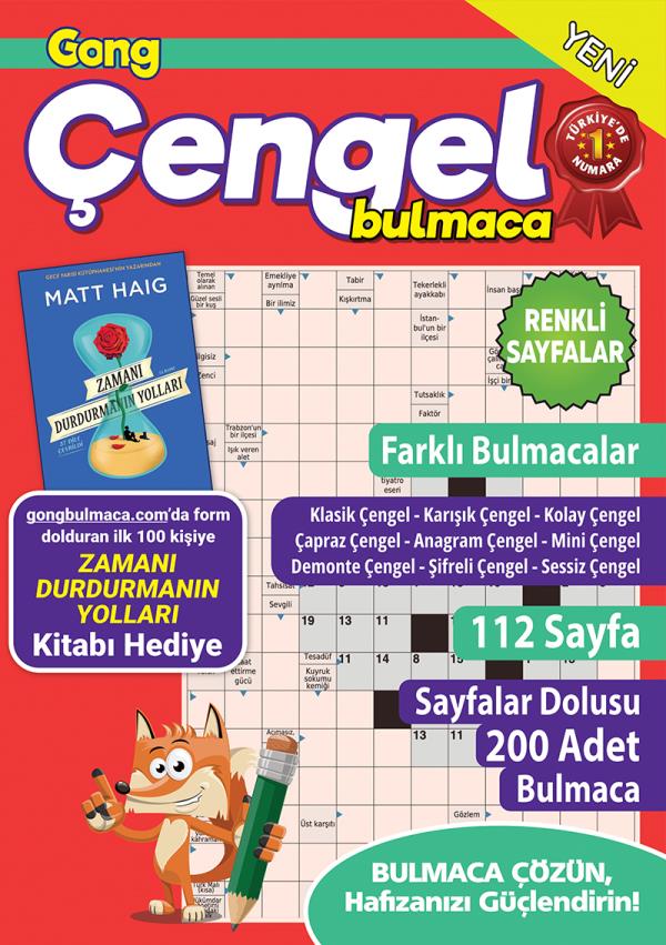 Gong Çengel Bulmaca 20