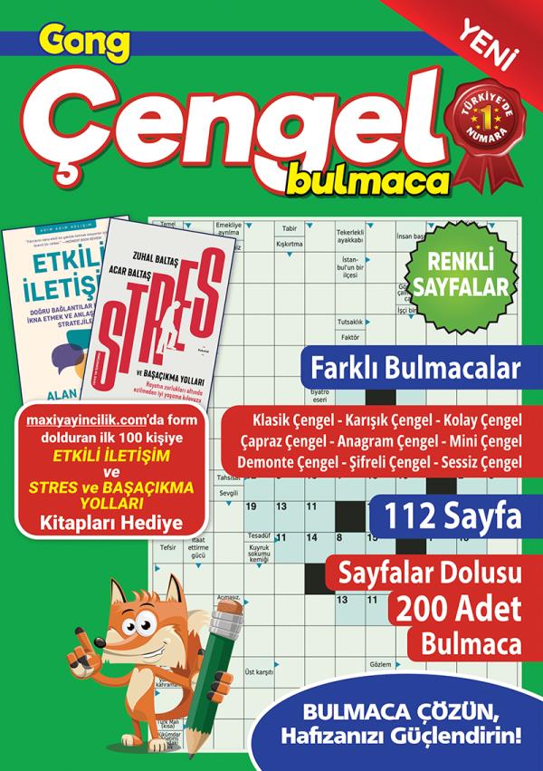Gong Çengel Bulmaca 24
